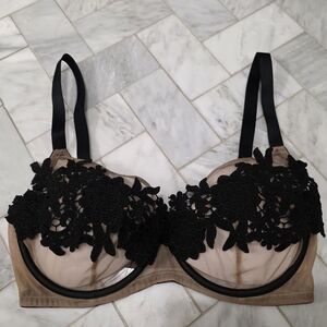 Playful Promises Alaina Illusion Mesh & Black Appliqué Bra | 36G | Barely Worn